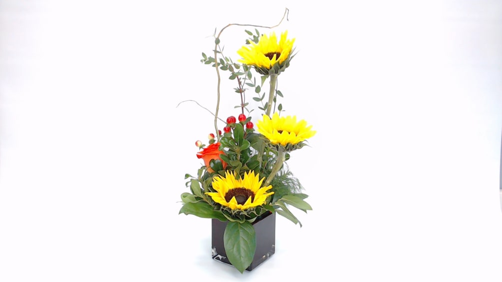 A grouping of sassy sunflowers.  Great for a hostess gift or