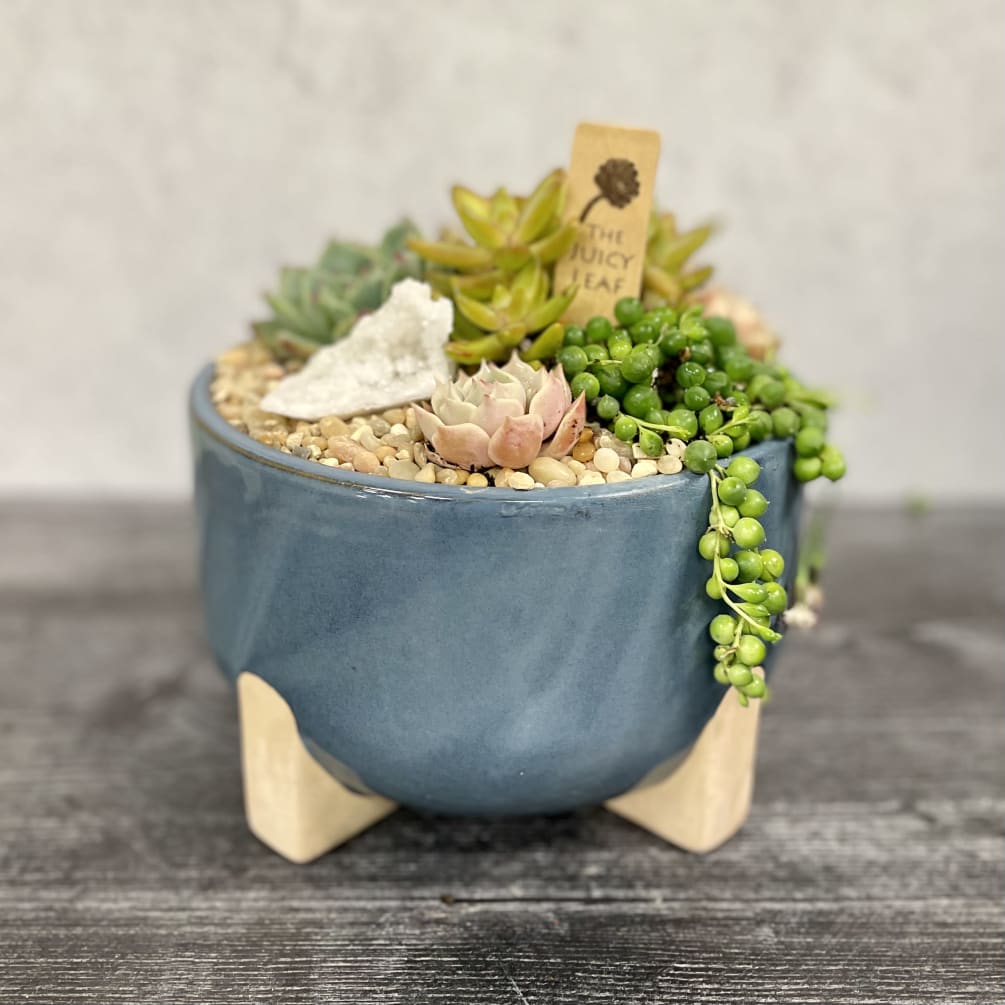 A beautiful balanced succulent arrangement in a light blue pot.