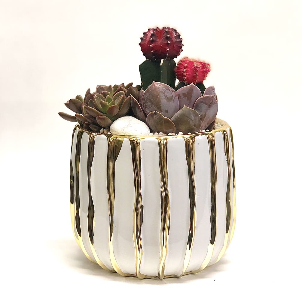4 types of succulents planted in a gold and white round pot.