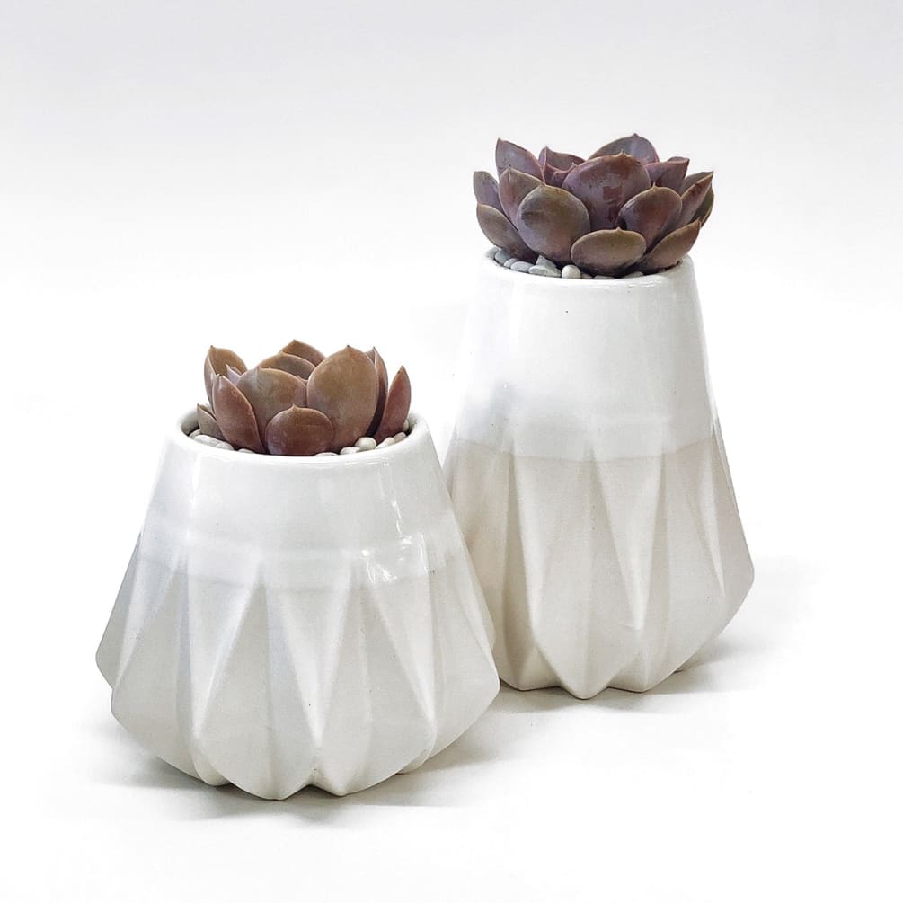 This is a white glossy set of pots with a single pink