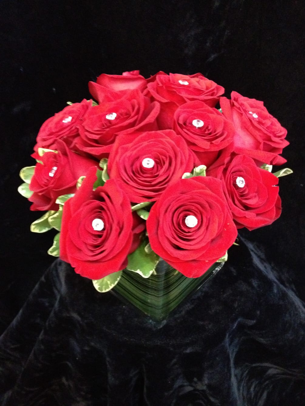 Dazzling Red Roses