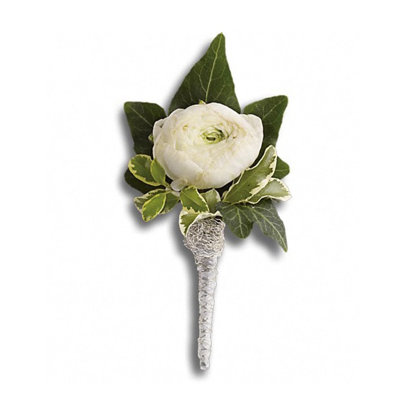 One ravishing white ranunculus radiates classic style.

White ranunculus with an ivy leaf