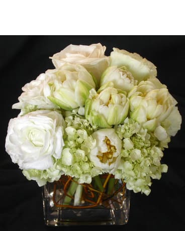 Tulips, lush white hydrangeas......, white roses in a square glass container

Product ID:
