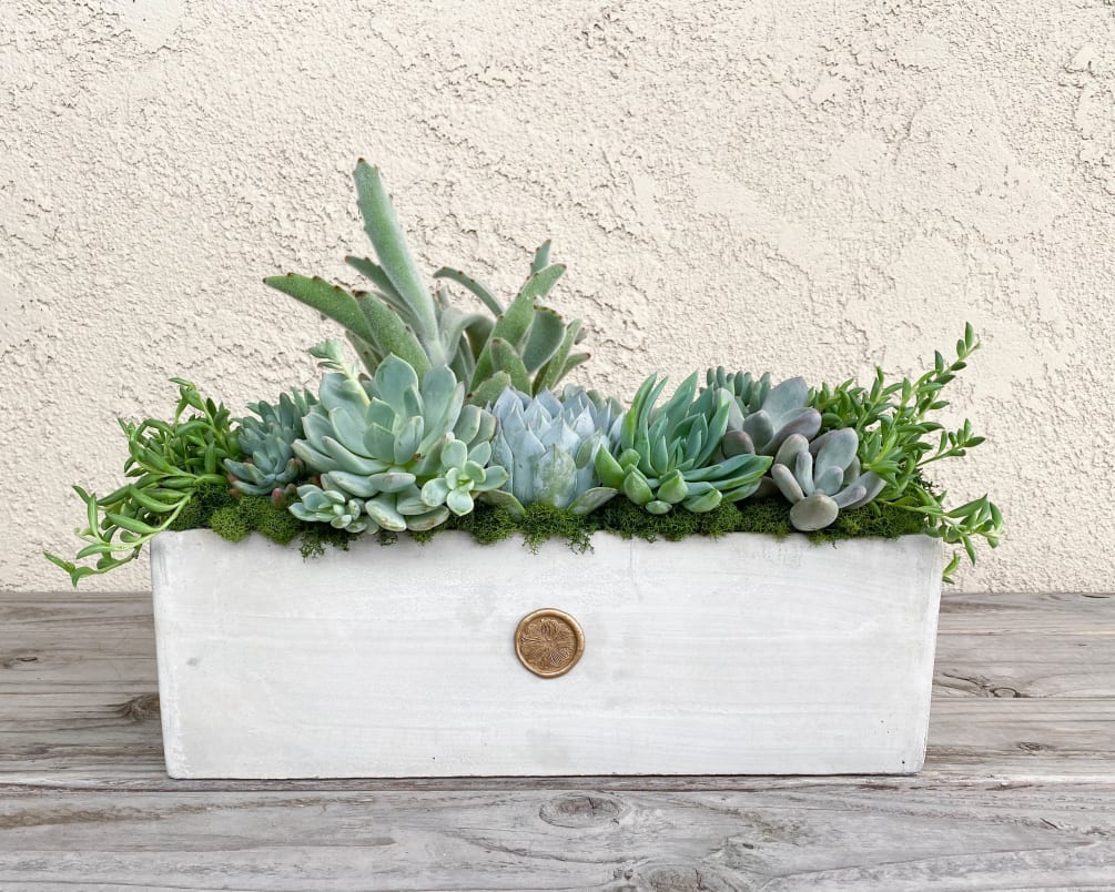 One of our most popular items! This 15.5&quot; rectangle cement planter is