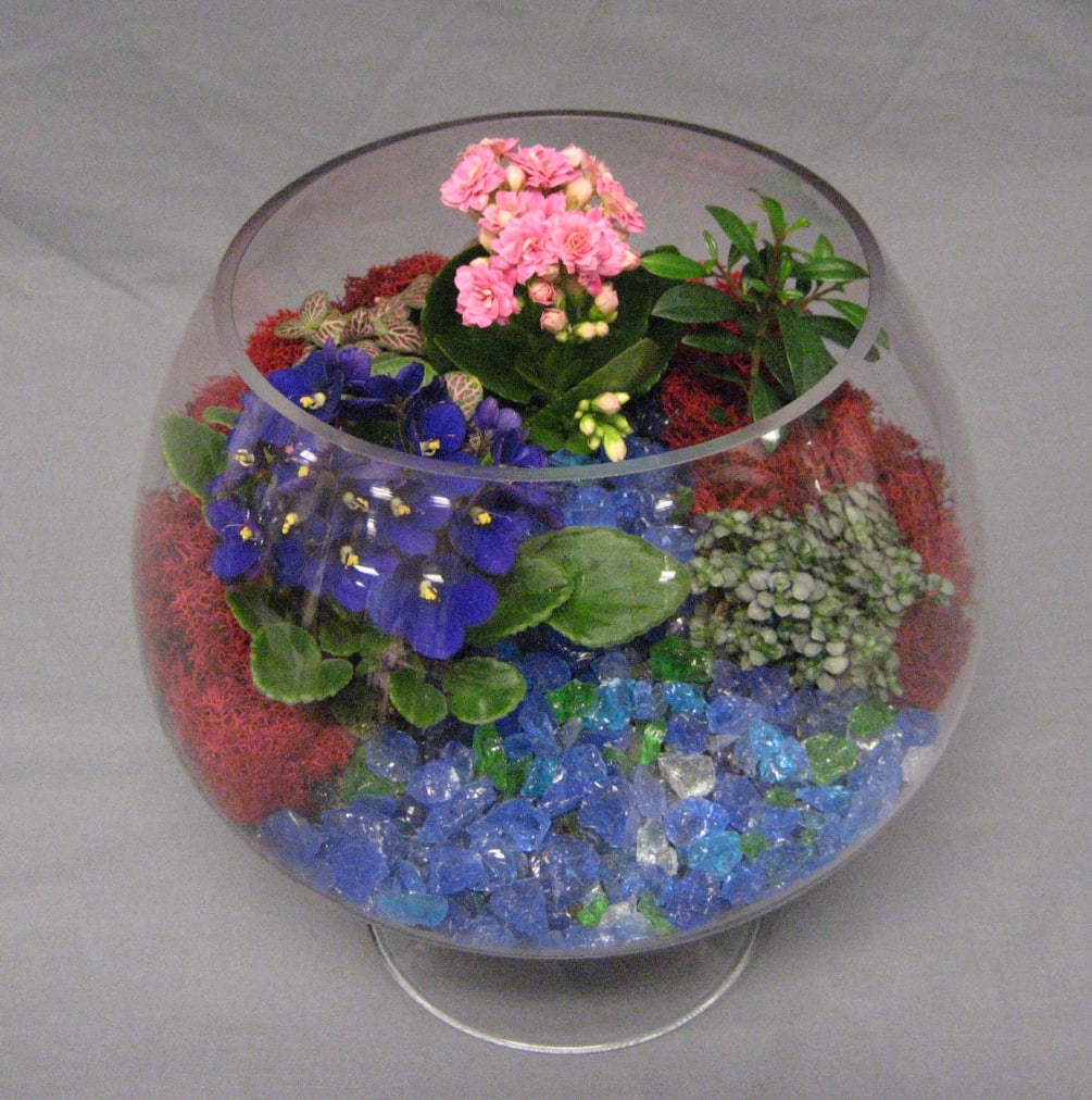 Terrariums are a classic that everyone loves. Designed in a glass bowl
