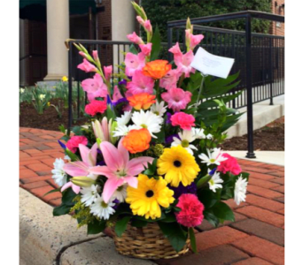 SPRING BASKET ARRANGEMENT BY TWIN TOWERS FLORIST

    As Shown