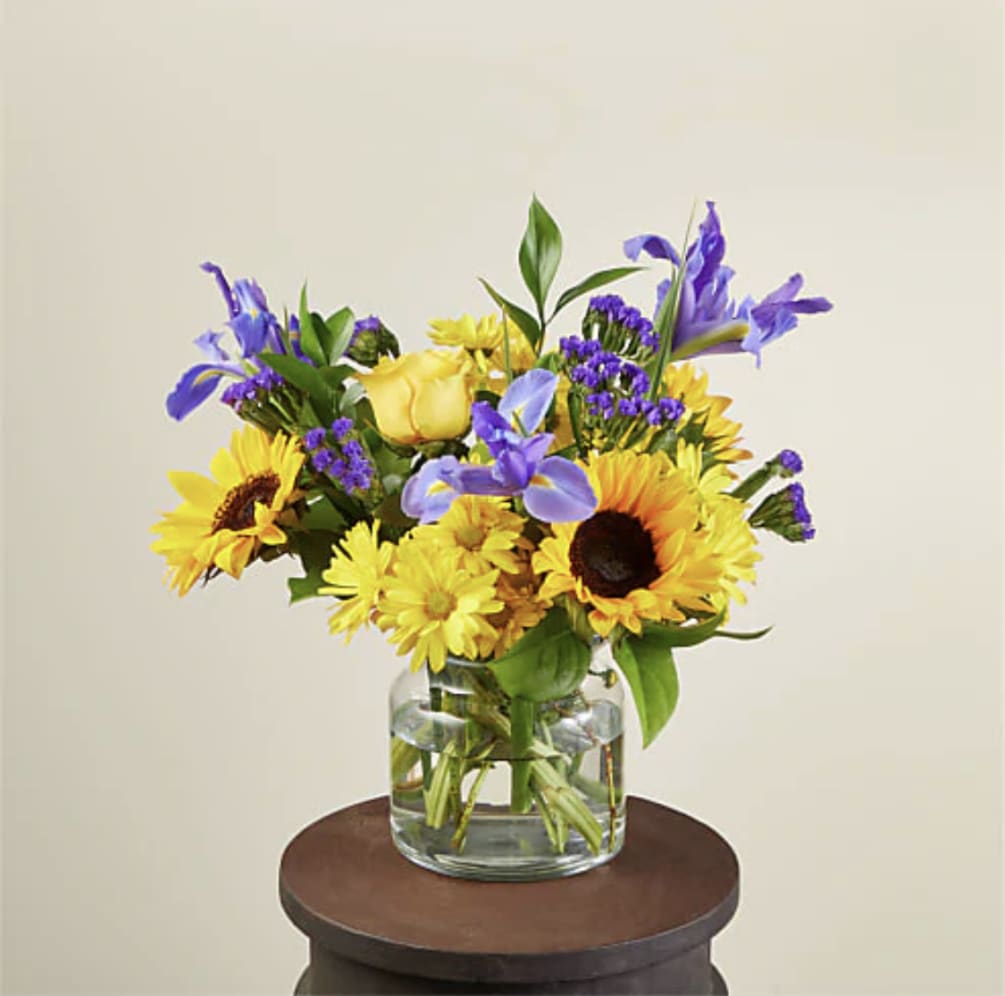 FLUTTER BY BOUQUET

The cheerful Flutter By Bouquet is guaranteed to make every
