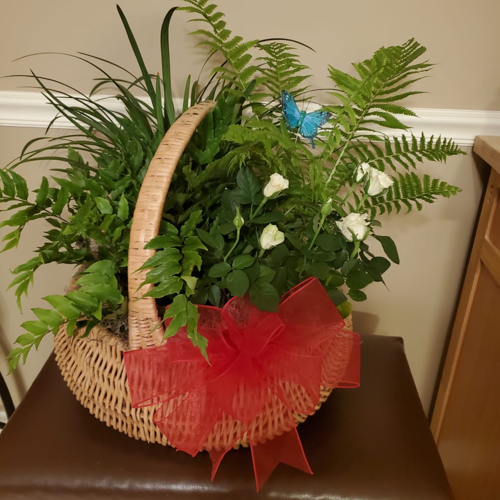 Extra Large Plant Basket by Like a Rose Floral Designs