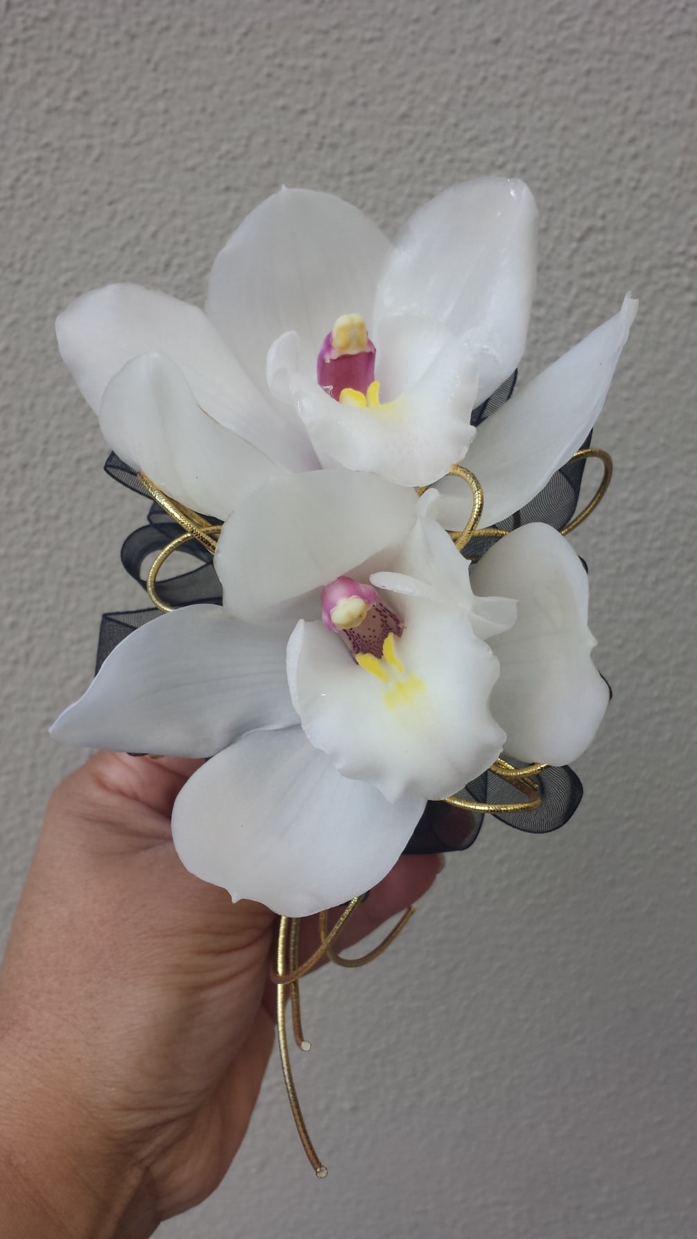 Double white Cymbidium orchid with black sheer ribbon and gold.