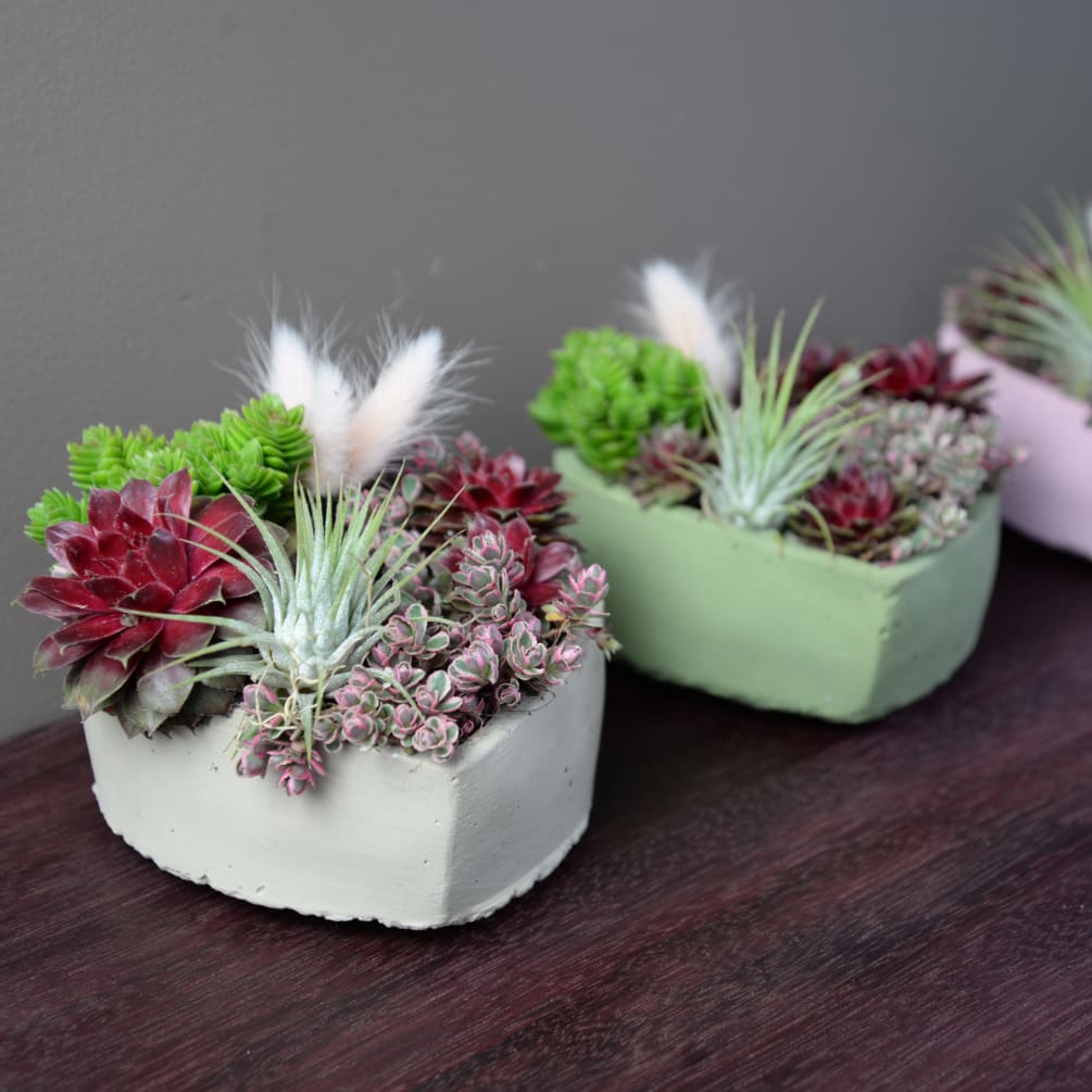 A heart shaped planter filled with mini succulents and accented with an