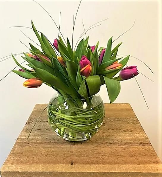 mixed tulips in vase