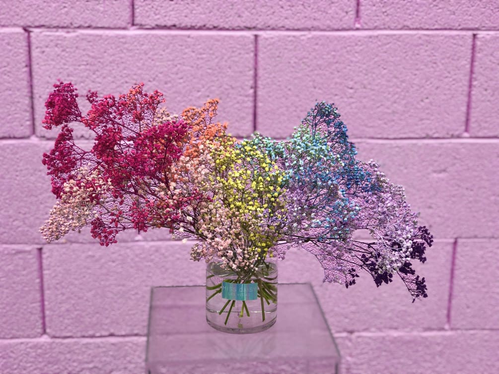 This rainbow ombre tinted baby&#039;s breath arrangement is designed to bring a