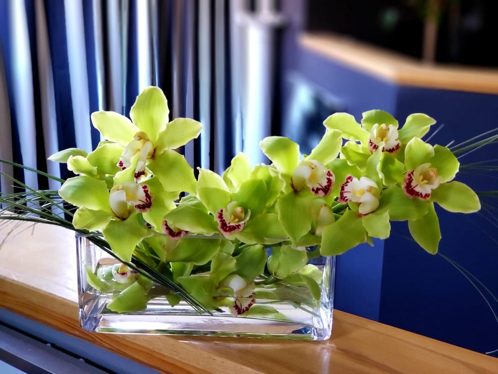 Cymbidium orchids with bear grass in a long glass rectangle. 