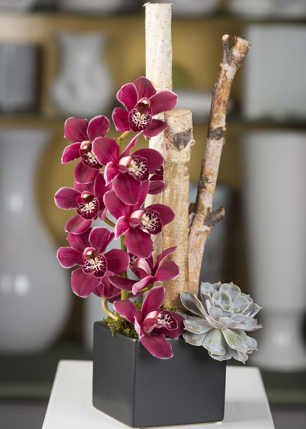 Mini cymbidium orchid, birch branches &amp; succulent in a square container.