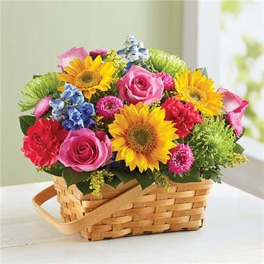 Beautiful basket arrangement includes bright beaming sunflowers, green spider mums and bursting