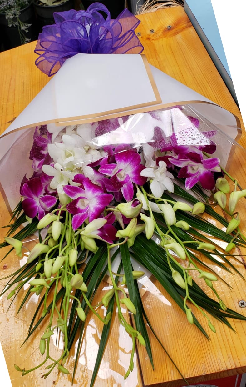 TEN PURPLE AND WHITE DENDROBIUM ORCHID STEMS IN A WRAPPED BOUQUET BY
