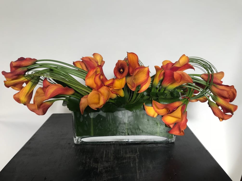 Cool contemporary arrangement of mini calla lilies