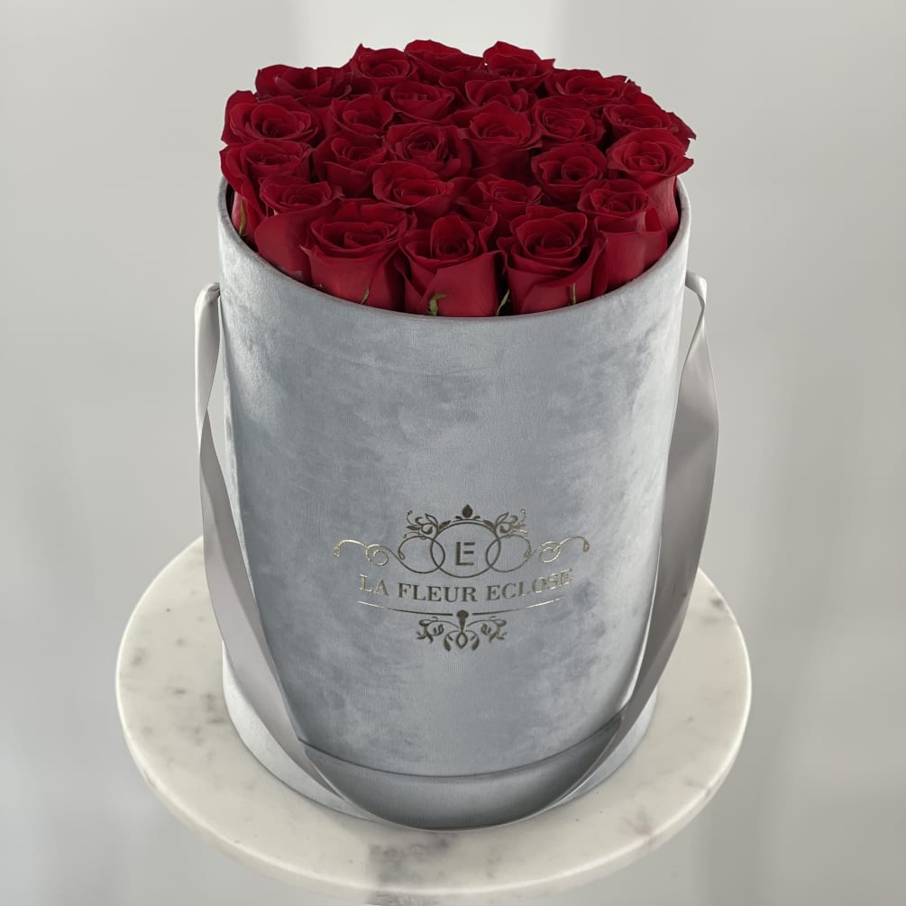 Bella Red MD by La Fleur Eclose