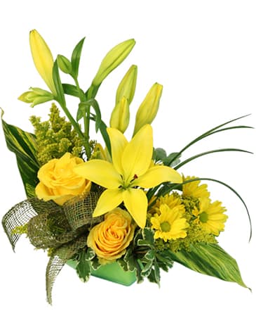 Sunshine Bright makes us HaPpY.  2 Yellow roses, 2 yellow lilies
