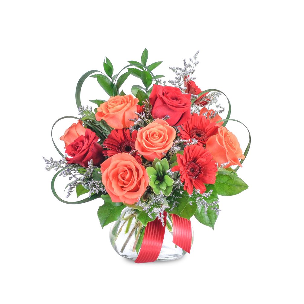 &quot;This bold combination of scarlet red and orange blooms, with a special