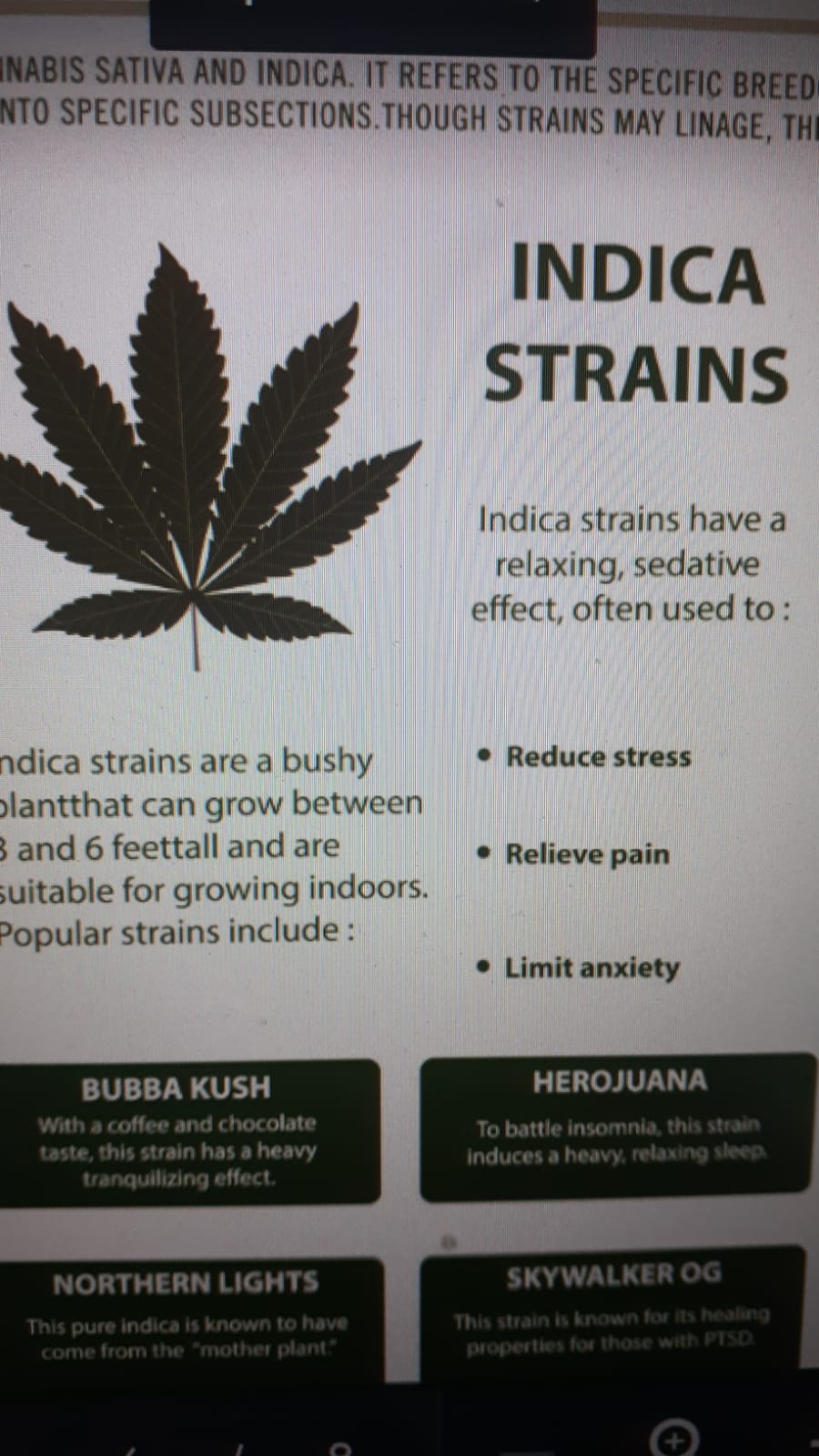 INDICA STRAINS have a relaxing, sedative effect. often used to: reduce stress