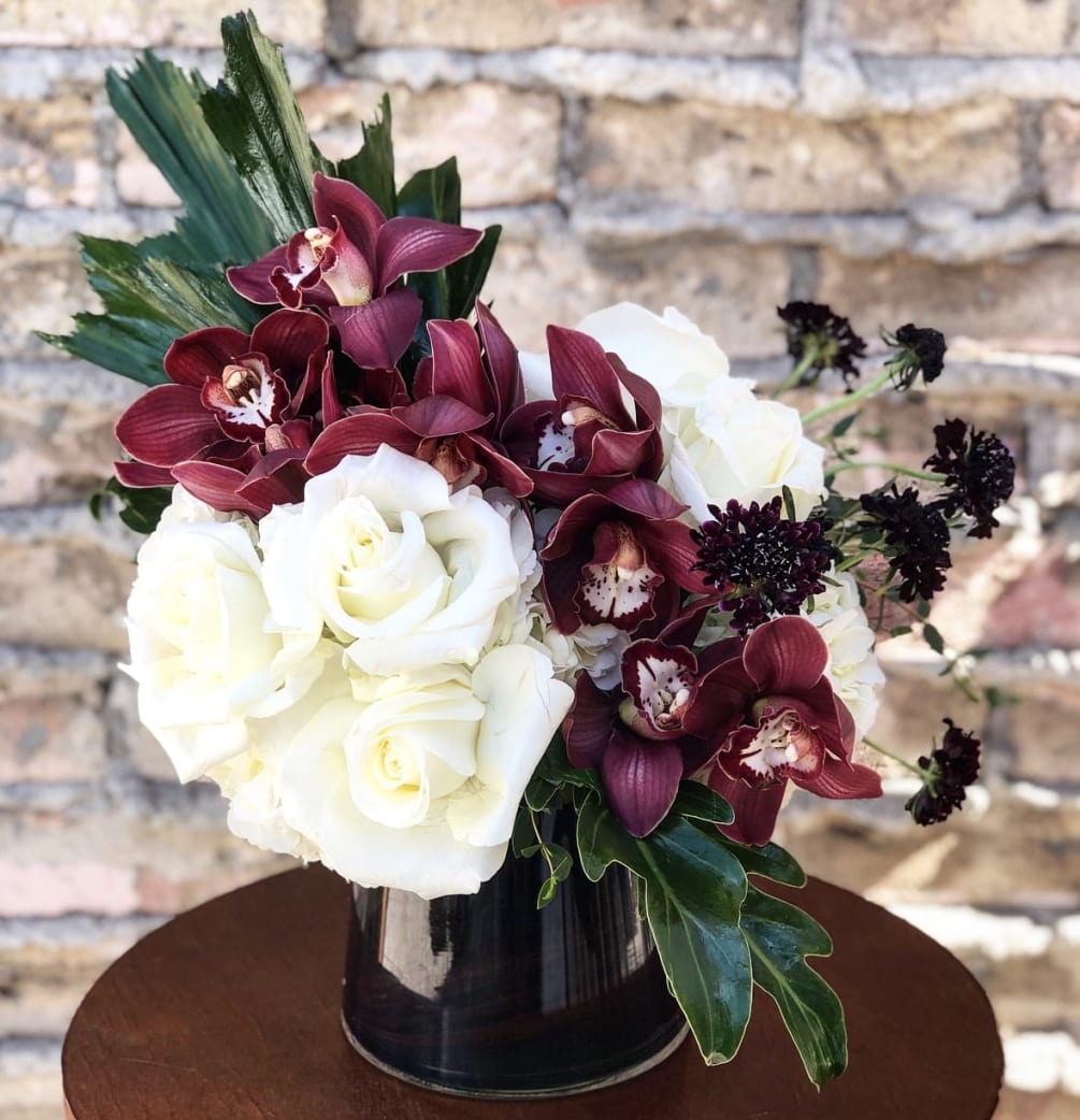  Stunning Australian Red cymbidium orchids are surrounded by Polar Star white