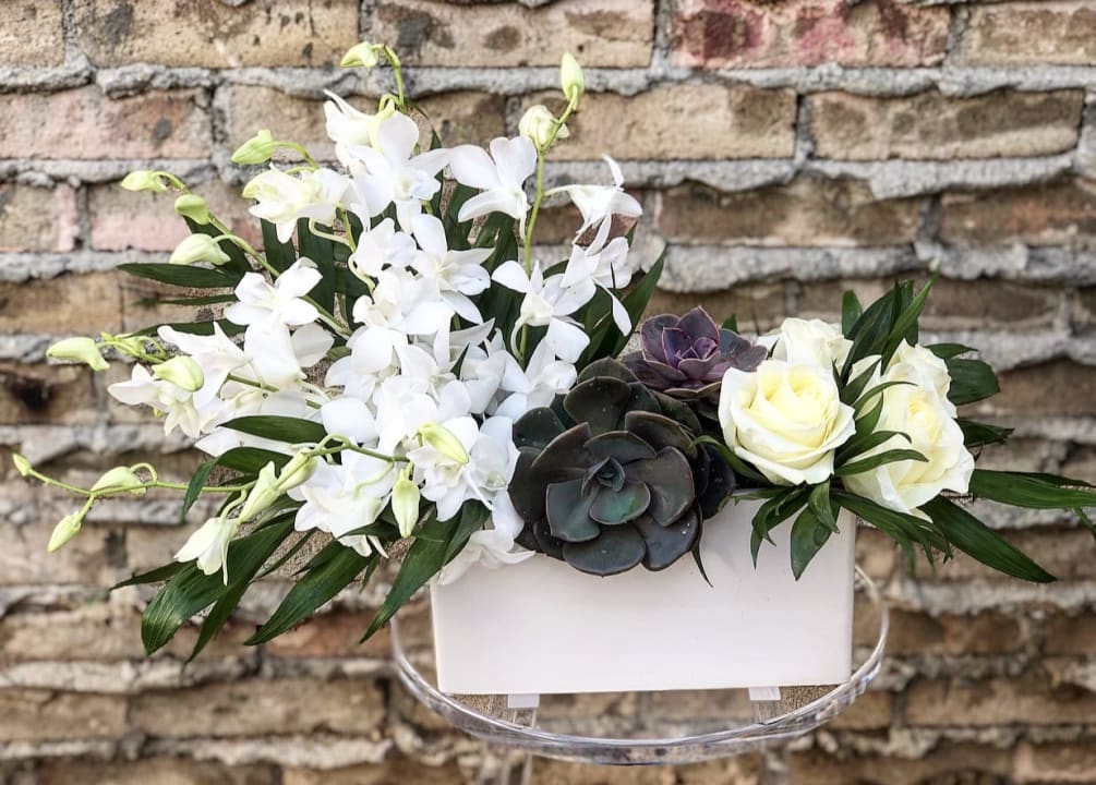 Modern white Dendrobium orchids, lavender hue succulents and Polar Star white roses