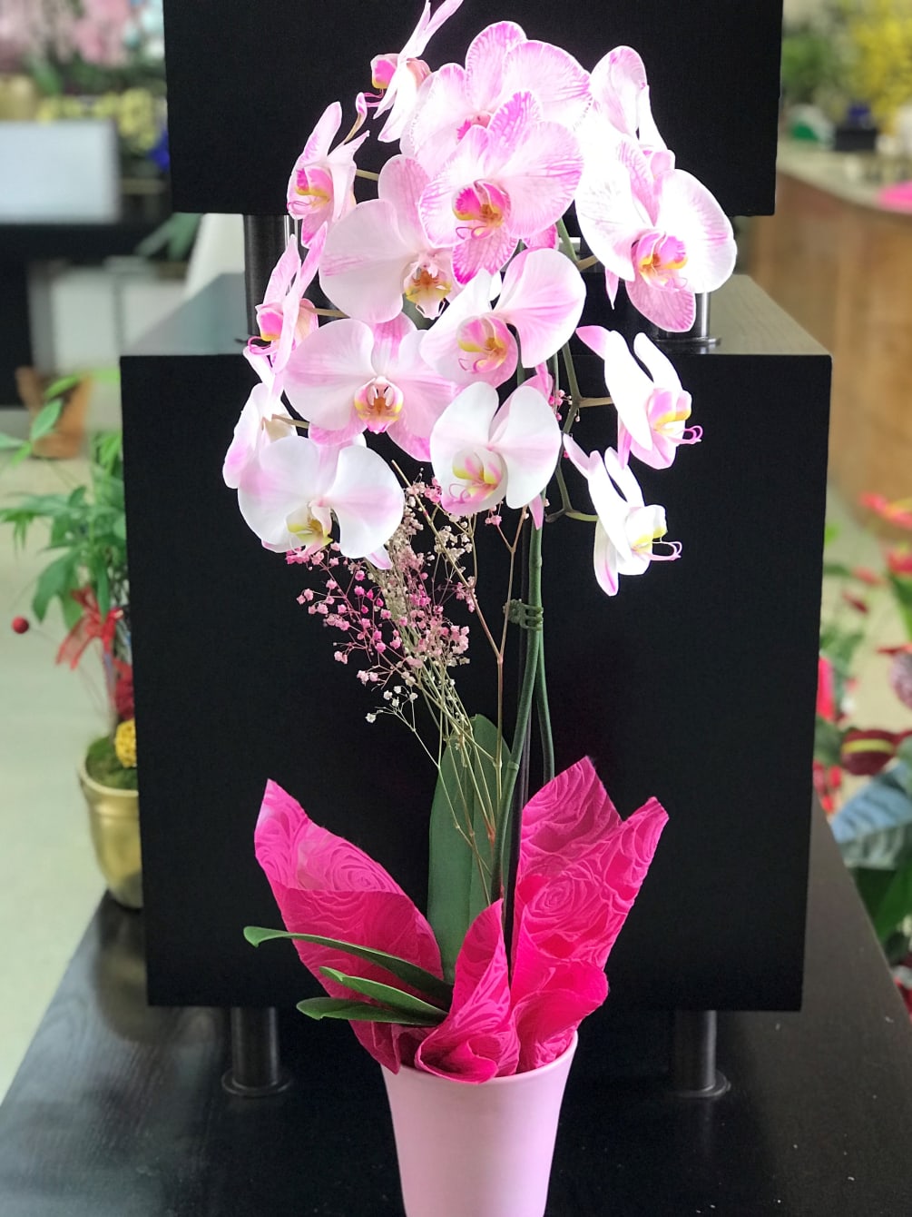 Beautiful dye pink orchid arrangement and naturally dried baby breath,aprox  27&quot;