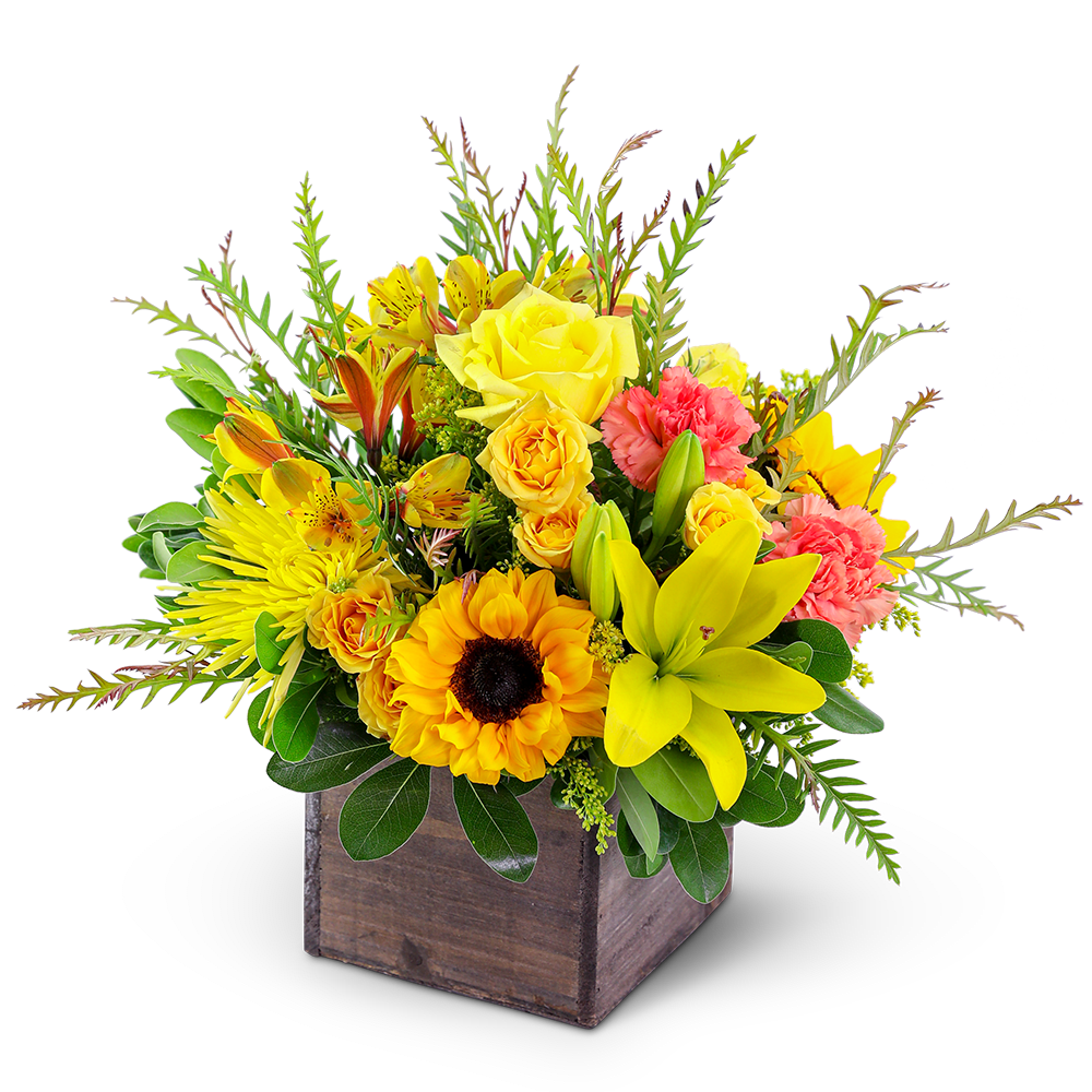This sunny mixed flower arrangement has been chosen and designed by our
