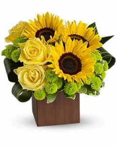 fresh and green with bright summer sunflowers in a cute wood box