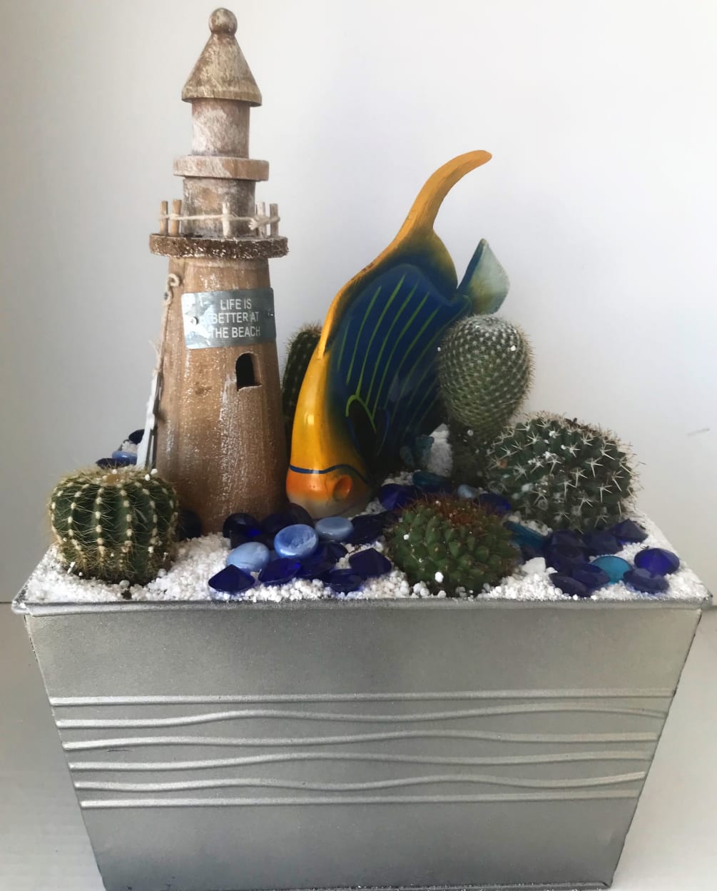 A nautical kind of cactus garden. Definatly not of the ordinary, but