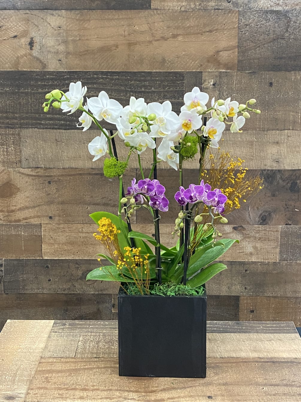 beautiful white and lavender  mini orchids in a wood black vase