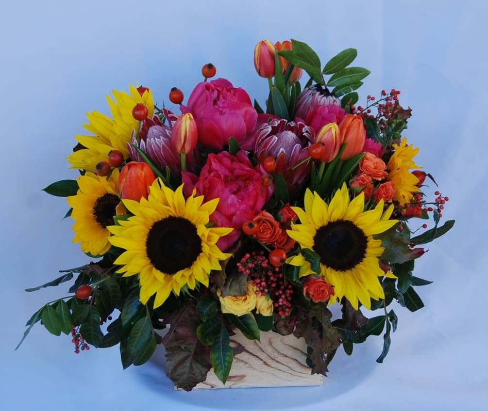An arrangement of bright sunflowers, tulips, spray roses, proteas, and peonies accented