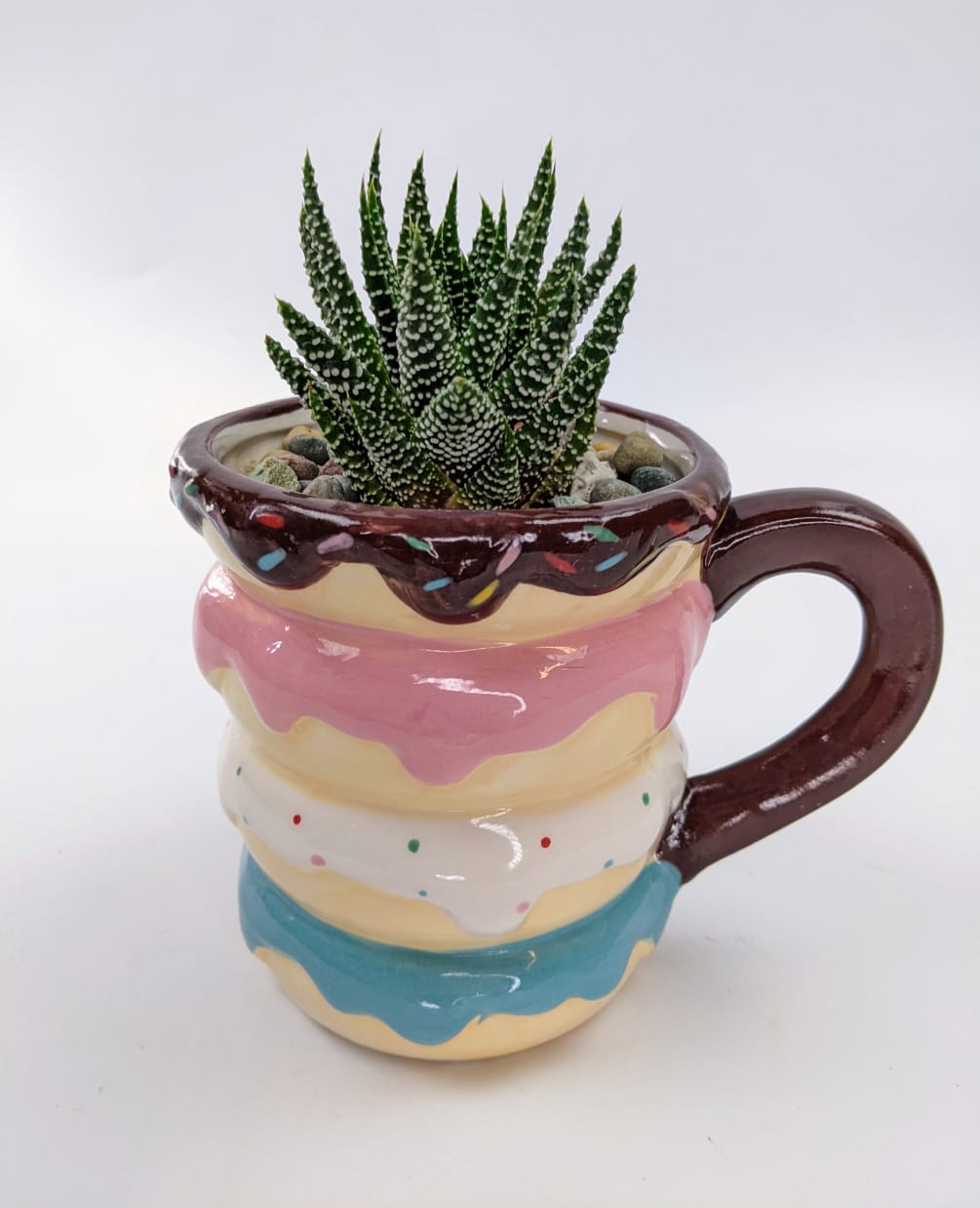 A living succulent selected and grown to complement a mug about 4