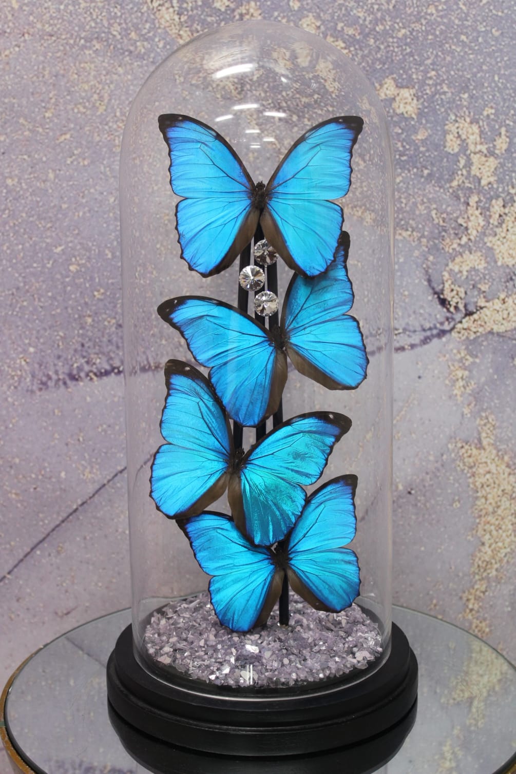 Butterfly Dome by La Bella Fleur