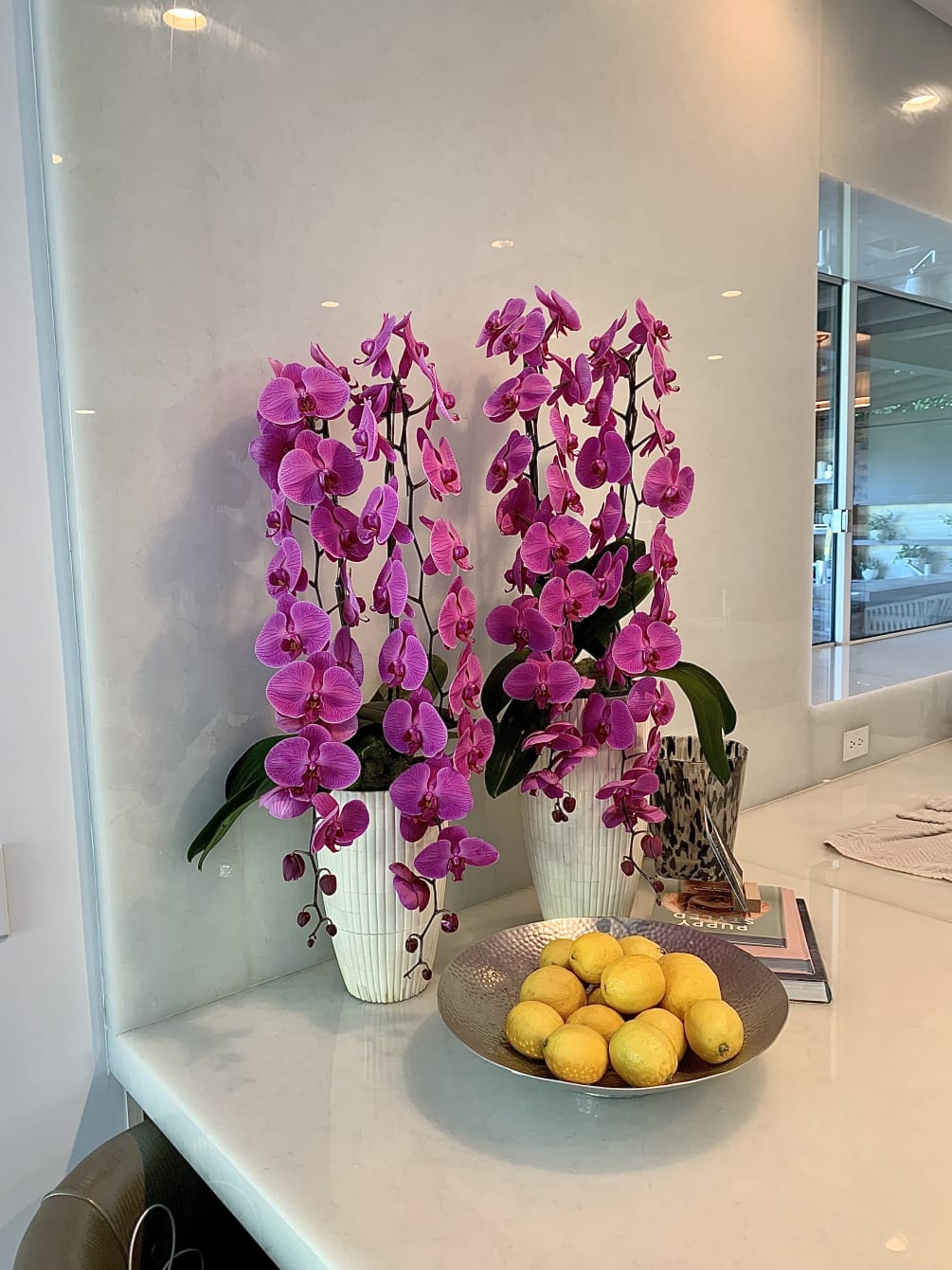 Premium orchids pair of two arrangement. Length of orchids can vary depending
