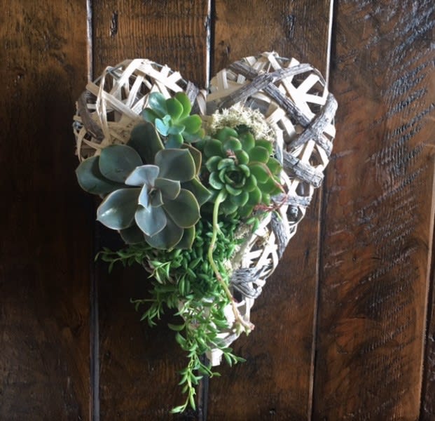 A heart shaped succulent garden perfect for Valentines Day or even a
