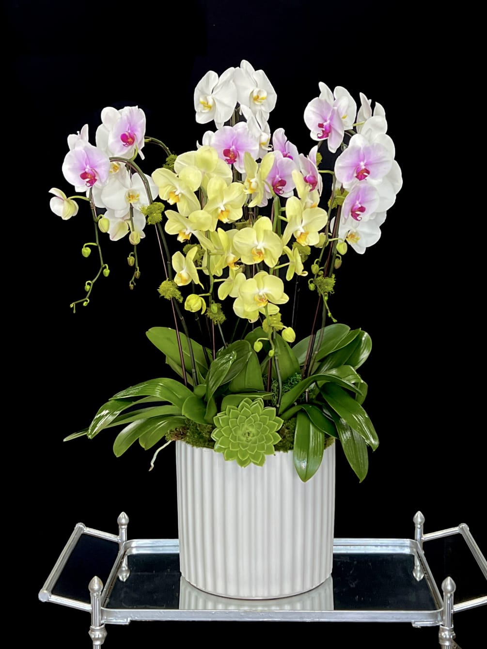 Exotic Royal Gold Mini Orchids. 
white Phael Orchids. 
ceramic vase. 
