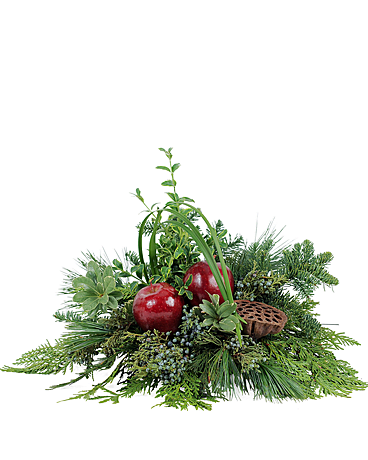 A simple arrangement of evergreen, apples and pods. Approximately 11&quot;H X 8&quot;W