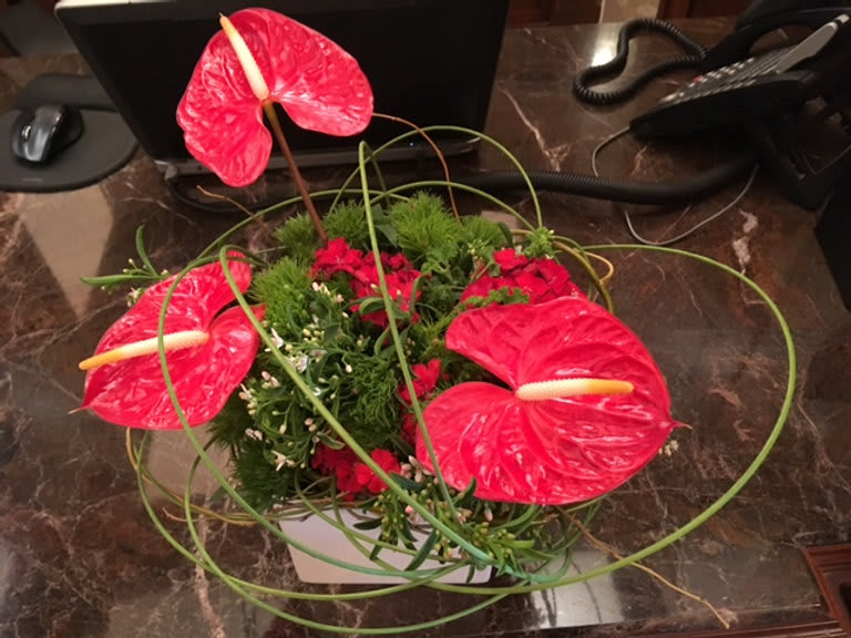 These Anthuriums are a tropical marvel. Shaped as a heart, they convey