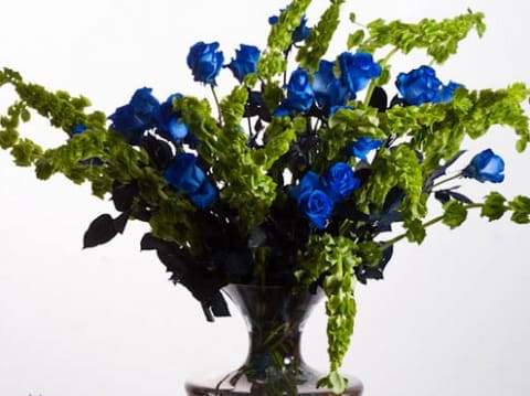 These brilliant Blue-Tinted roses are hand dyed with a classic technique, perfected