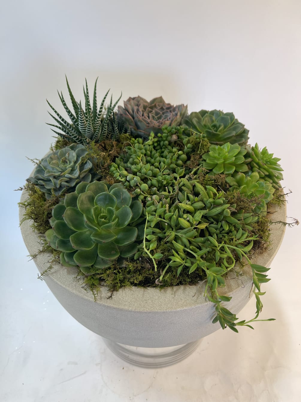 This oversized low succulent garden is filled with a mixed variety of