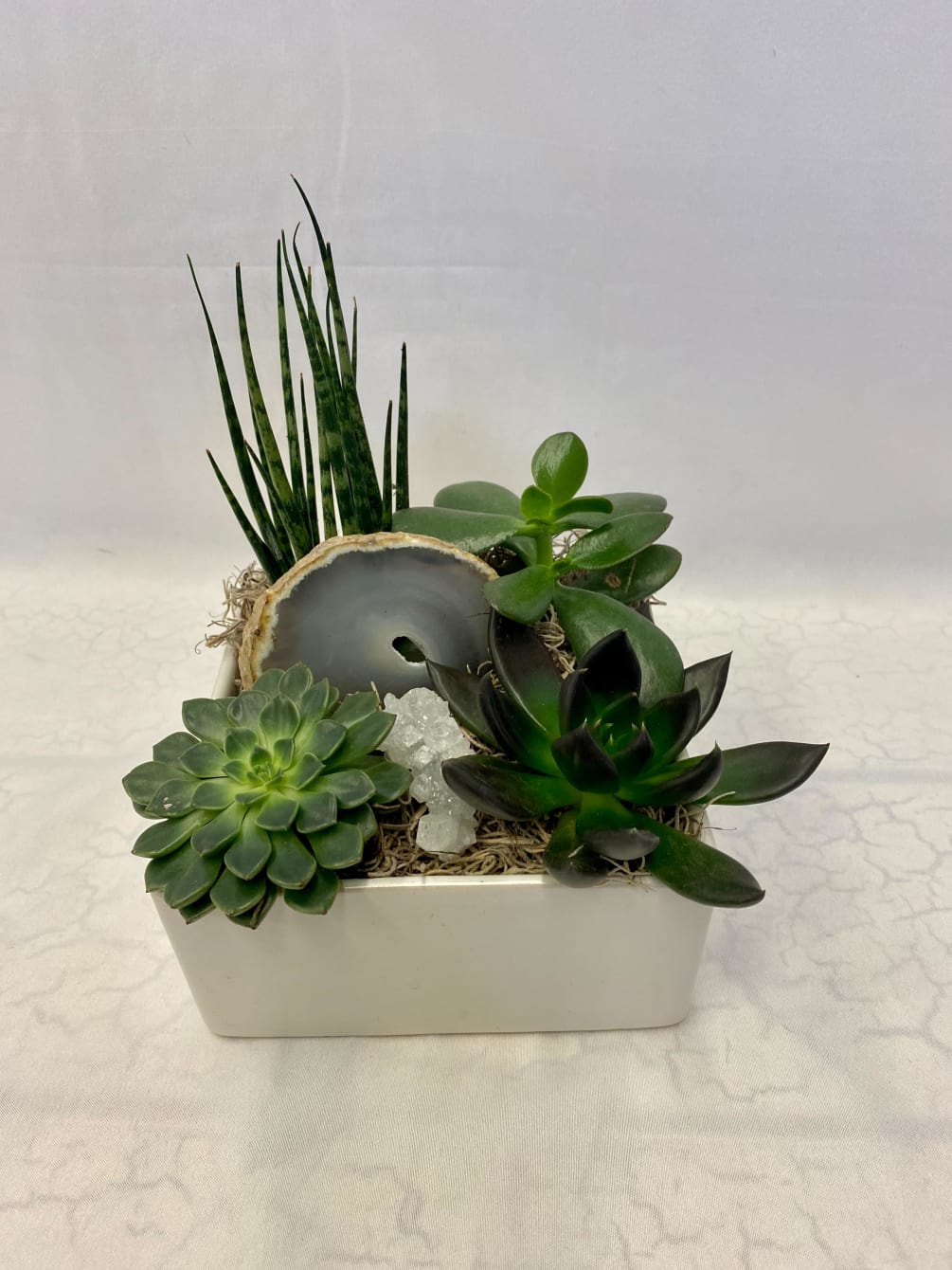 Succulent garden with sliced agate and clear quartz cluster set in moss