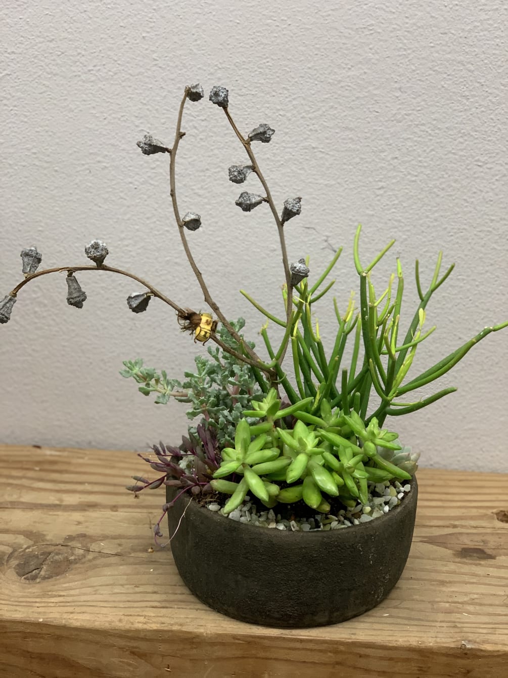 A grey stone pot filled with an abundance of assorted succulents and