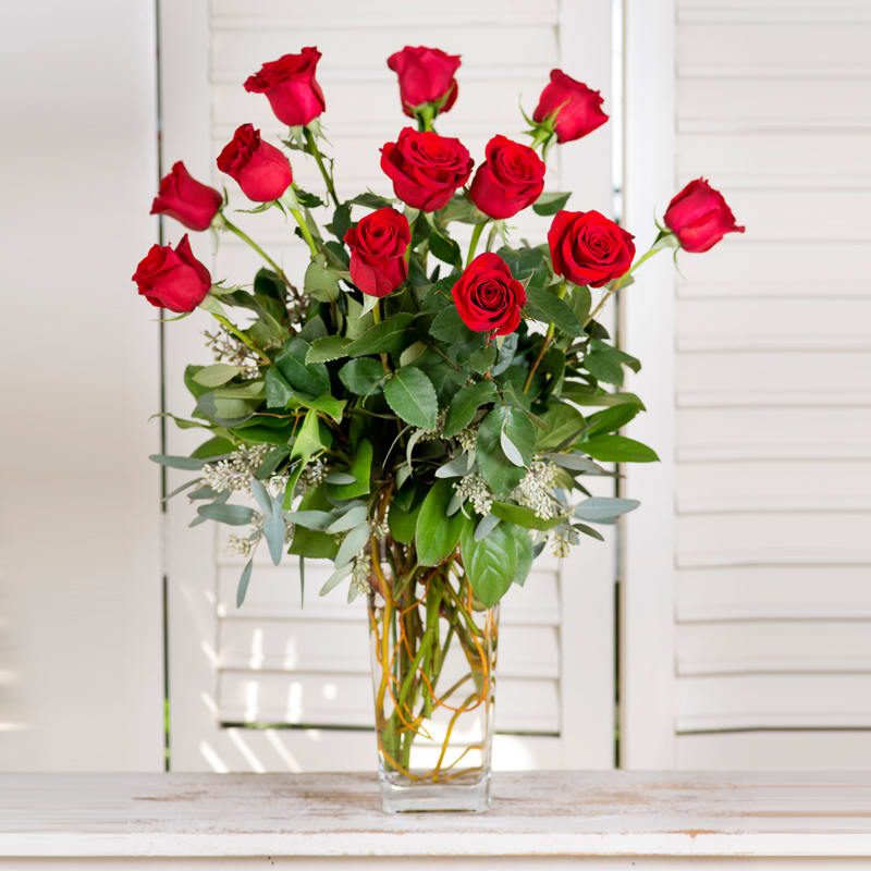 A Dozen Long Stemmed Red Roses with lush greens in a premium
