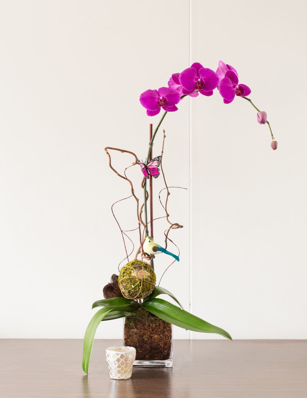 Birdie&#039;s Fuschia Orchid Nest