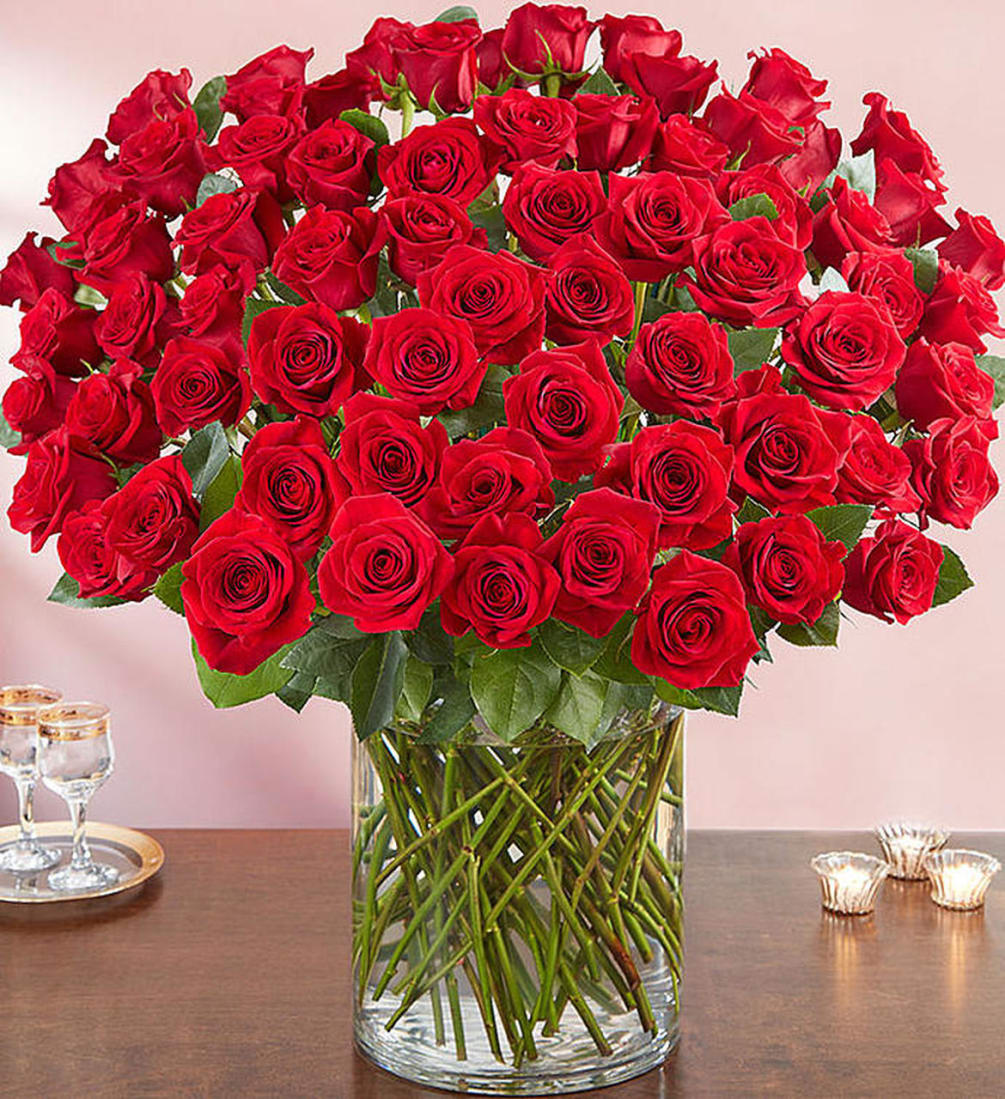 100 stems of the most beautiful red roses arranged in a vase