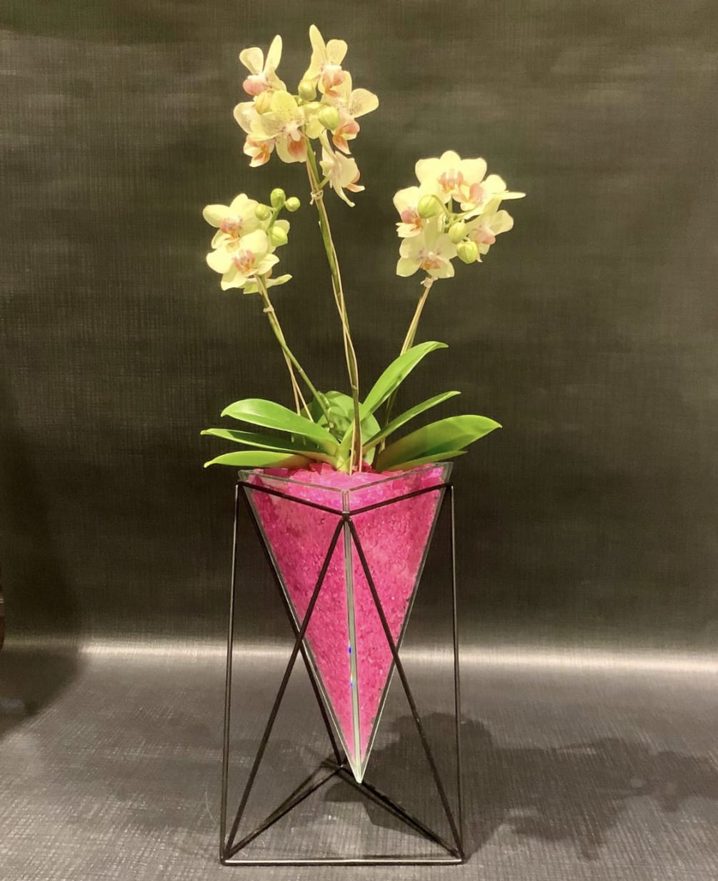 Custom miniature yellow phalaenopsis orchid planting with hot pink crushed glass in