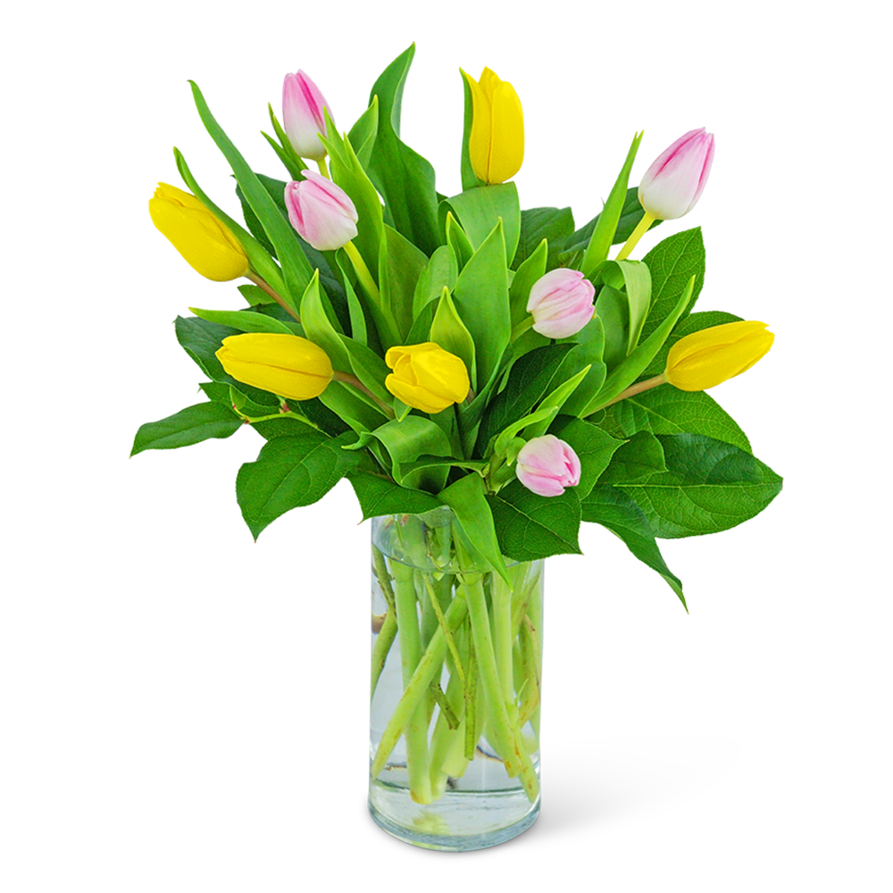 It&#039;s always a good idea to send a vase of tulips! Strawberry
