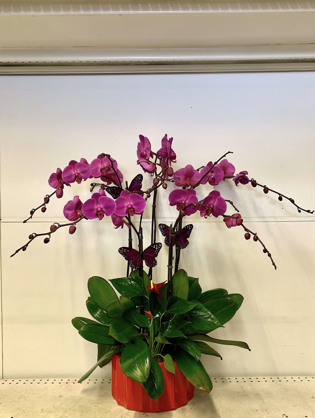 Amazing pop of color with the purple orchids and red anthurium in